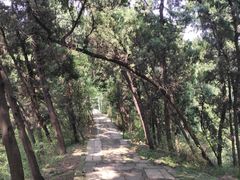 -金堂县云顶石城风景区