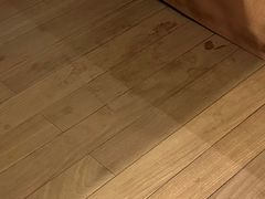 -普陀山雷迪森庄园
