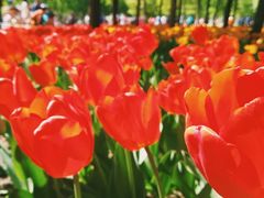 -长春公园(普阳街道)