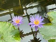 -国家植物园南园