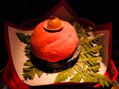 新年礼-地球美食剧场