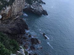 -杨梅坑