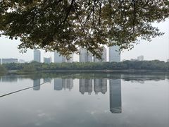 -南宁南湖公园
