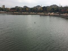 -新江湾城公园