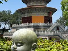 -铁山坪森林公园