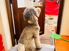 -沏点Trattoria意大利餐厅(新街口店)