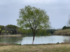 -沙家浜风景区