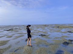 -红树林天天赶海