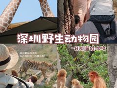 -深圳野生动物园