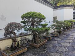 -九龙寨城公园