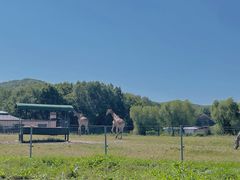 -哈尔滨北方森林动物园
