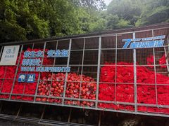 -雅鲁激流探险漂流