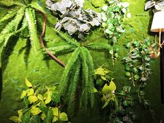 -阿记烧烤(大兴新区店)