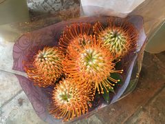 -天水蔬食料理(树德之光店)