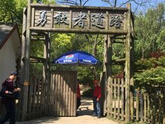 -共青国家森林公园-售票处