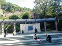 -金鸡山公园