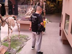 -陕西自然博物馆