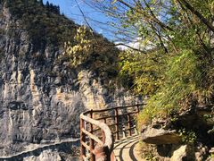 -鹿院坪生态旅游景区