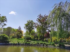 -武清南湖绿博园