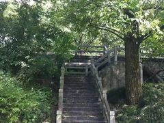 -杭州西湖风景名胜区-三生石