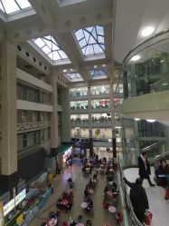 -首都医科大学附属北京儿童医院