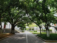 -厦门大学(思明校区)