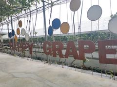 -金谷域澳洲庄园