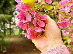 -元大都城垣遗址公园