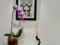 -Isofit 普拉提·婵柔工作室