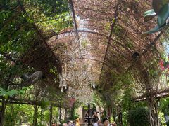 -The Grounds of Alexandria