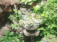 -大理董·董家小厨野生菌火锅(古城旗舰店)