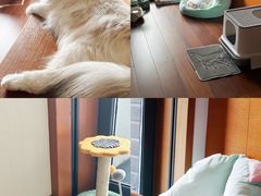 -蓝楹湾度假酒店