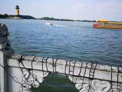 -溱湖国家湿地公园