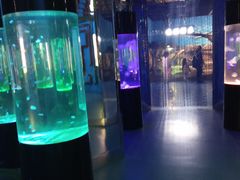 -沙沙哗啦海洋馆(华宇百花谷店)