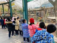 -蓝莓果幼儿园(通州梨园店)