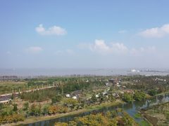 -上海滨江森林公园