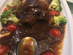 大乌参-老人和饭店(打浦路店)