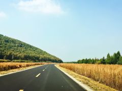 -塞罕坝国家级自然保护区