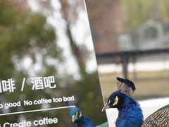 -J Create城市露营咖啡·简餐·宠物(上海动物园店)