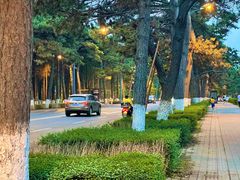 -长春市南湖公园