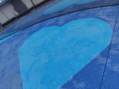 -荷兰花海
