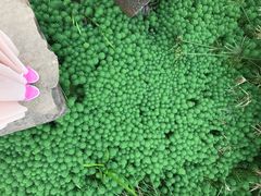 -白鹭湾湿地公园