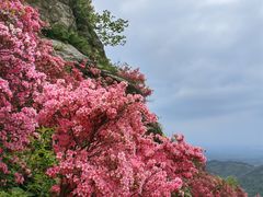 -木兰云雾山