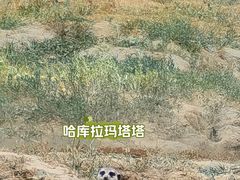 -红山森林动物园