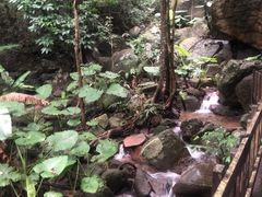 -七仙岭温泉国家森林公园