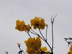 -立新湖公园