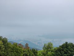 -梧桐山风景名胜区