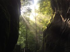 -牛背梁国家森林公园