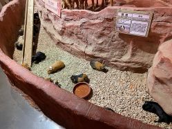 -Zoolung Zoolung动物主题公园(海信广场店)