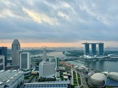 -新加坡瑞士史丹福酒店